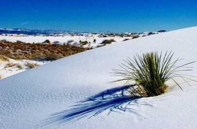 Los monumentos más icónicos de EU (IV parte)