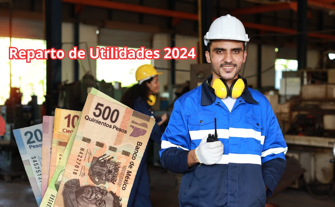 Pago de Utilidades 2024. ¿Quiénes sí podrán recibirlas y quiénes no, según la LFT? Foto: iSTOCK