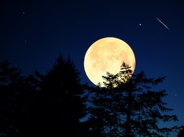 Última Superluna del 2024. ¿Cuándo ocurrirá en noviembre? ¿Se verá en México?