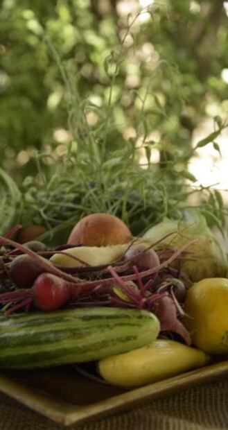 Arizona y la locura de su gastronomía, ¡conócela!