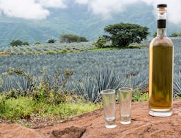 ¡Mienten! Profeco revela las peores marcas de tequila reposado en nuevo estudio