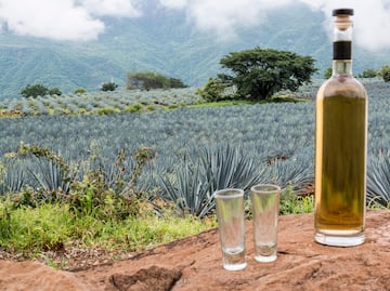 ¡Mienten! Profeco revela las peores marcas de tequila reposado en nuevo estudio