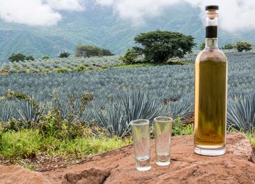 ¡Mienten! Profeco revela las peores marcas de tequila reposado en nuevo estudio