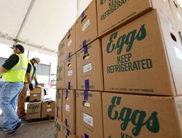 Por gripe aviar, el mayor productor de huevos en Estados Unidos para la producción en Texas