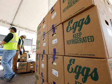 Por gripe aviar, el mayor productor de huevos en Estados Unidos para la producción en Texas