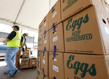 Por gripe aviar, el mayor productor de huevos en Estados Unidos para la producción en Texas