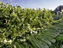 ¿Cómo verificar que una oferta de trabajo en Canadá sea real?