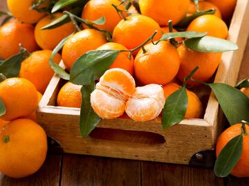 ¡La temporada de mandarinas ya inició! ¿Cuáles son los beneficios de esta fruta según Harvard?