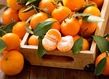 ¡La temporada de mandarinas ya inició! ¿Cuáles son los beneficios de esta fruta según Harvard?
