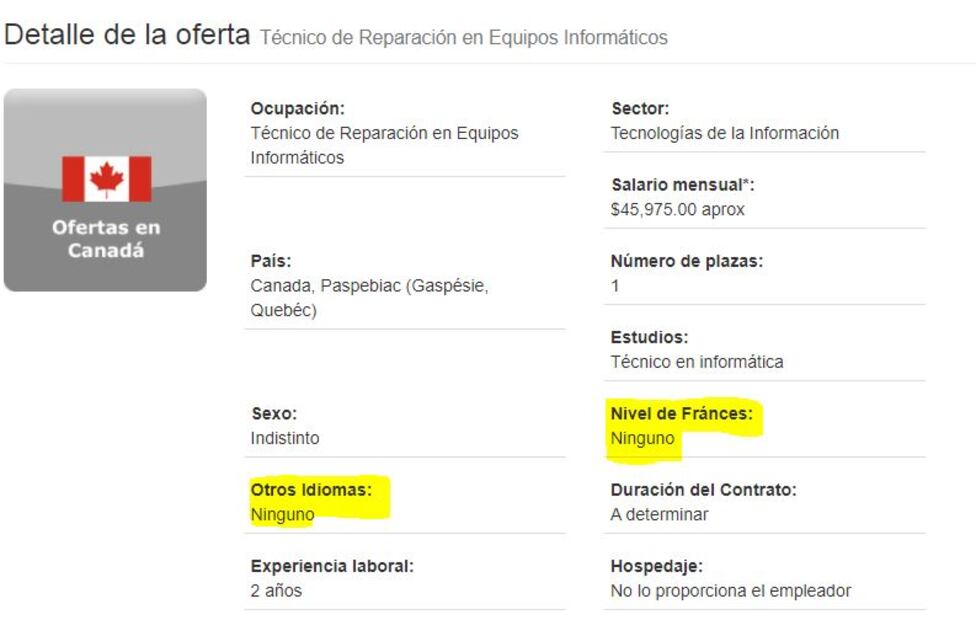 Canadá busca técnicos en informática; hay vacante sin francés ni inglés