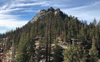 Familia murió de calor y deshidratación en paseo por bosque de California 