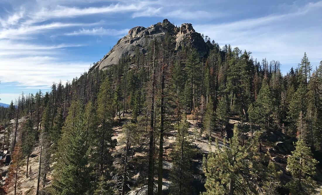 Foto: Wikimedia Commons