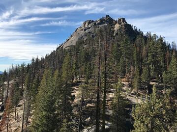 Familia murió de calor y deshidratación en paseo por bosque de California