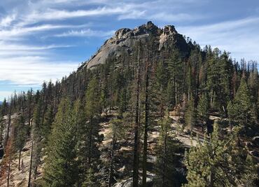 Familia murió de calor y deshidratación en paseo por bosque de California