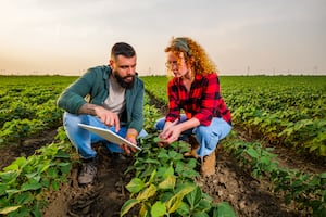 ¡Hay vacantes! Trabaja en el Consulado de Estados Unidos en Tijuana y gana $540,572 pesos anuales