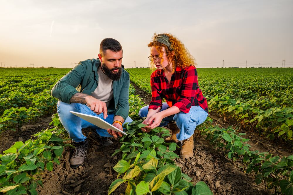 Trabaja en el Consulado de Estados Unidos en Tijuana y gana $540,572 pesos anuales. iStock/Photodjo