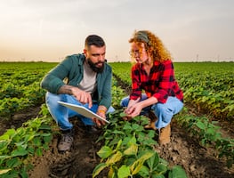¡Hay vacantes! Trabaja en el Consulado de Estados Unidos en Tijuana y gana $540,572 pesos anuales