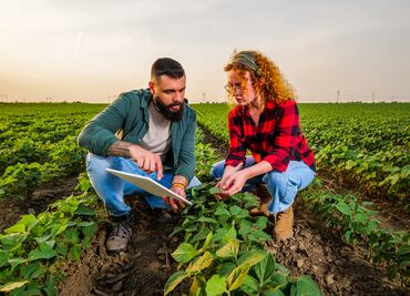 ¡Hay vacantes! Trabaja en el Consulado de Estados Unidos en Tijuana y gana $540,572 pesos anuales