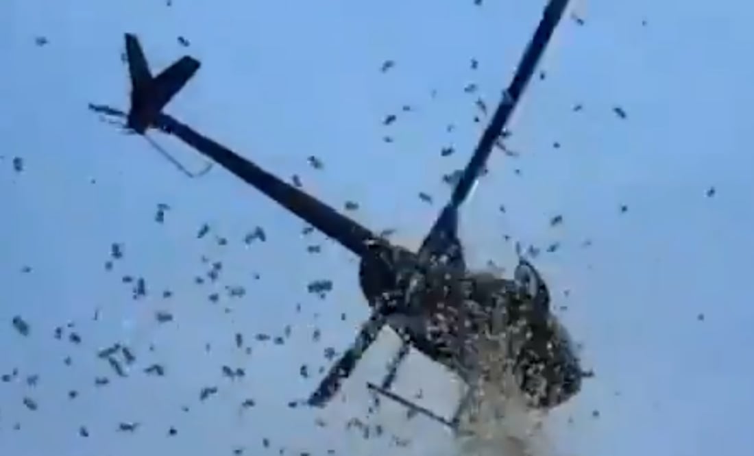 Hombre de Detroit cumple su último deseo: helicóptero lanza dinero y pétalos en su honor. Foto tomada de video X