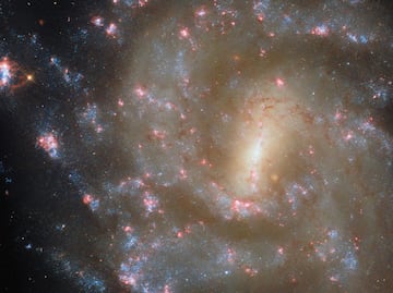 James Webb crea el mapa más grande del universo: 800 mil galaxias en detalle