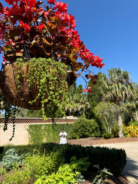 Bok Tower Gardens.