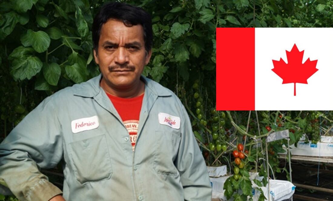 Katia Torres/ EL UNIVERSAL