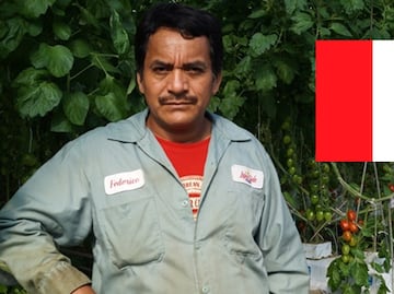 Jornaleros agrícolas mexicanos parten a trabajar en Canadá; aquí los requisitos