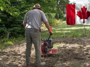 Solicitan trabajadores de mantenimiento para club en Canadá (sin inglés)
