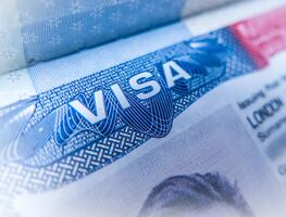 La visa americana que cuesta sólo 16 dólares: quiénes y cómo pueden tramitarla