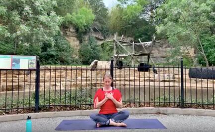 Zoológico de San Antonio crea sesiones de yoga en vivo con animales