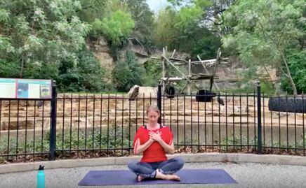 Zoológico de San Antonio crea sesiones de yoga en vivo con animales