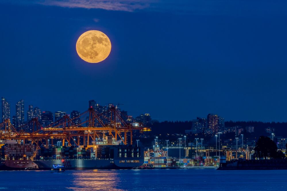 La Luna del Cazador y la Superluna más grande y brillante del 2024. ¿Cuándo ocurrirá? ¿Se verá en México? Foto: iSTOCK-jamesvancouver