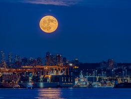La Luna del Cazador y la Superluna más grande y brillante del 2024. ¿Cuándo ocurrirá? ¿Se verá en México?