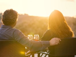 De viñedos a playas con lobos marinos: experiencias únicas para vivir en California