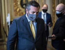 Video. Ted Cruz regresa a Texas tras críticas por viaje a Cancún