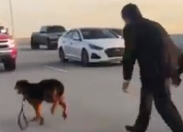 Paralizan tráfico en carretera de Houston para rescatar a perro