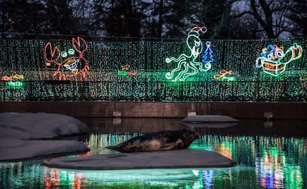 ZooLights regresa al zoológico Lincoln Park de Chicago