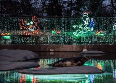 ZooLights regresa al zoológico Lincoln Park de Chicago