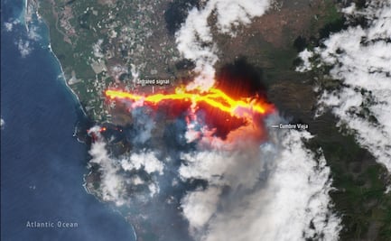 Planean usar drones para rescatar a perros de la lava en isla La Palma