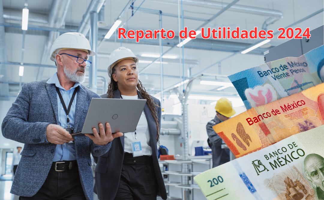 Utilidades 2024. ¿Quiénes no están obligados a repartir el “dinero extra” y por qué? Foto: iSTOCK