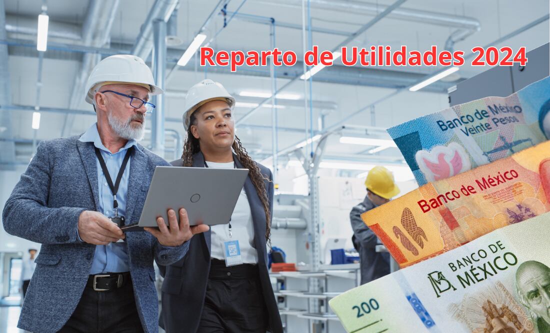 Utilidades 2024. ¿Quiénes no están obligados a repartir el “dinero extra” y por qué? Foto: iSTOCK