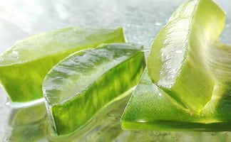 Los beneficios del aloe vera, un ingrediente fascinante