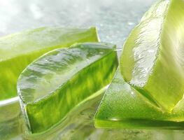 Los beneficios del aloe vera, un ingrediente fascinante