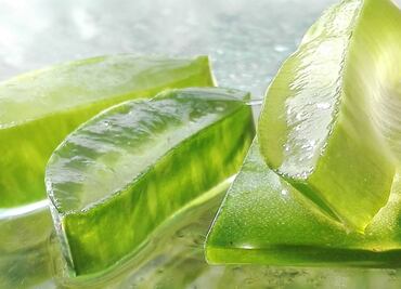Los beneficios del aloe vera, un ingrediente fascinante