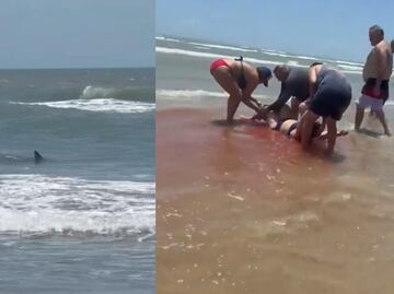 Imágenes de terror. Tiburón ataca a cuatro personas en playa de Texas