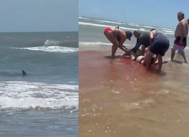 Imágenes de terror. Tiburón ataca a cuatro personas en playa de Texas