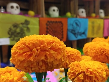 Mega Ofrenda Zócalo 2023: Fechas y temática en CDMX por Día de Muertos