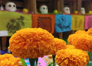 Mega Ofrenda Zócalo 2023: Fechas y temática en CDMX por Día de Muertos
