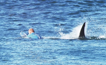 Hombre sufre ataque de tiburón en playa de Miami, Florida