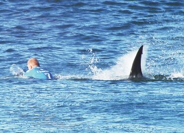 Hombre sufre ataque de tiburón en playa de Miami, Florida